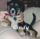 Cindy Little .2002-2015